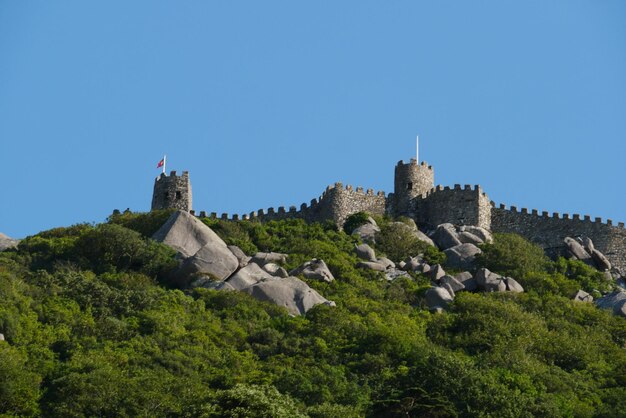 写真 明るい空に照らされた歴史的な建物の低角度の景色