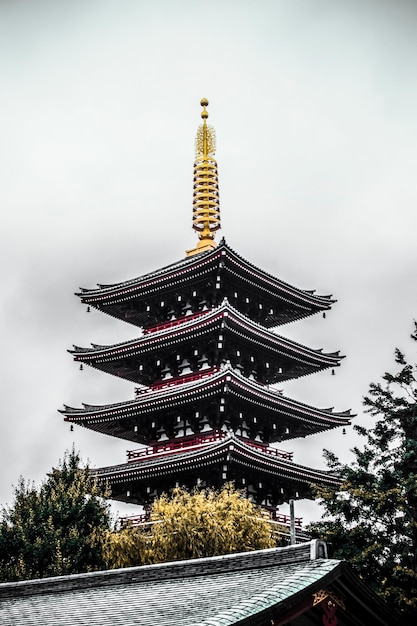 Фото Низкий угол зрения храма хорюдзи в японии