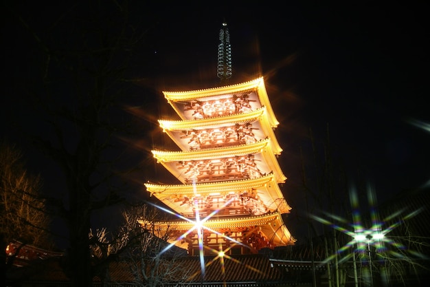 写真 夜に照らされた建物の低角度の視界