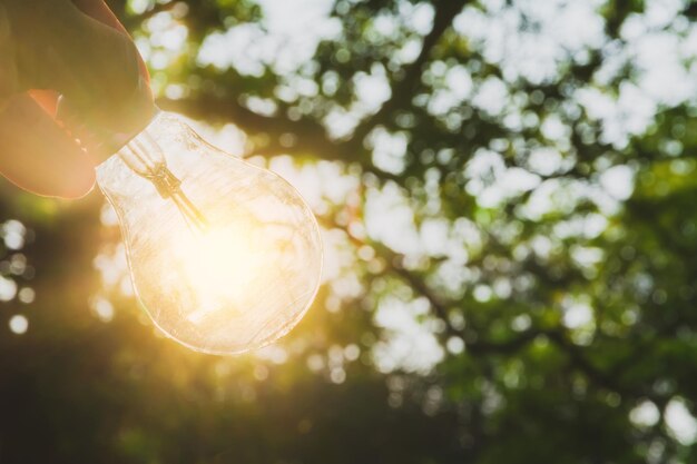 写真 空に照らされた電球の低角度の視点