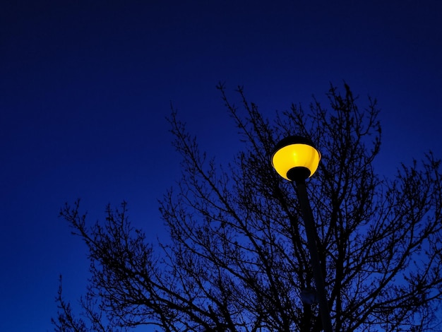 写真 青い空に照らされたストリートライトの低角度のビュー