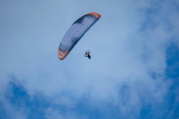 Фото Низкоугольный вид насекомого, летящего на голубом небе