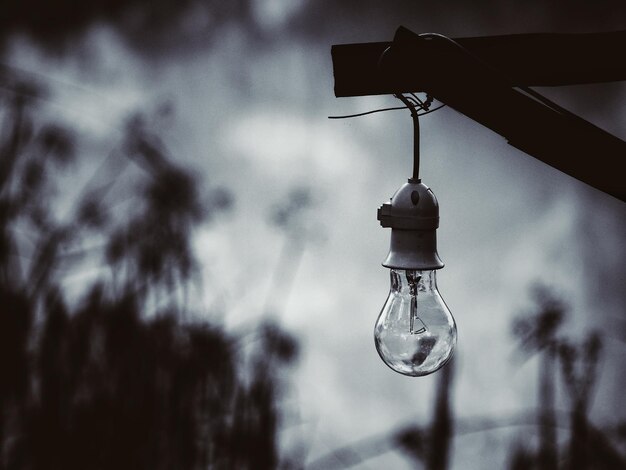 写真 空に照らされた電球の低角度の景色