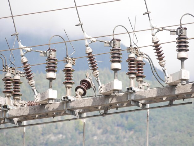 写真 空に照らされた電球の低角度の景色