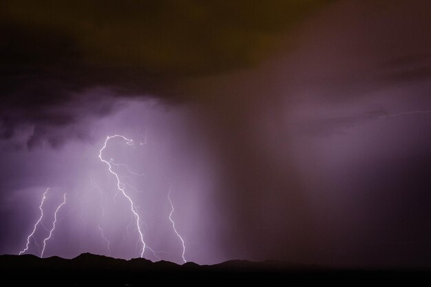 写真 夜の空に照らされた雷の低角度の景色