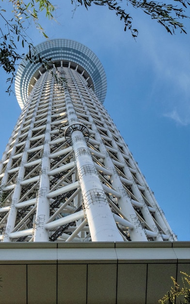 写真 天空を背景に近代的な建物の低角度の景色