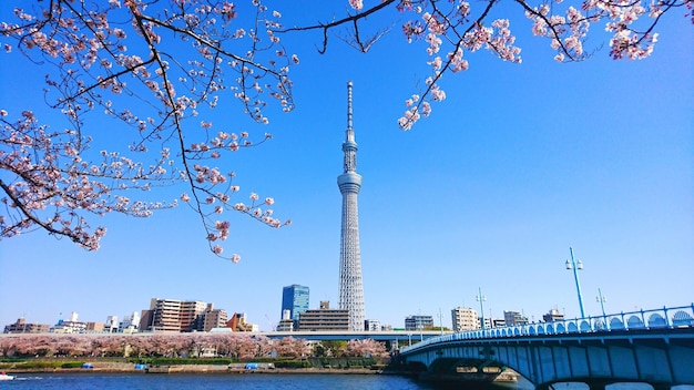 写真 天空を背景に近代的な建物の低角度のビュー