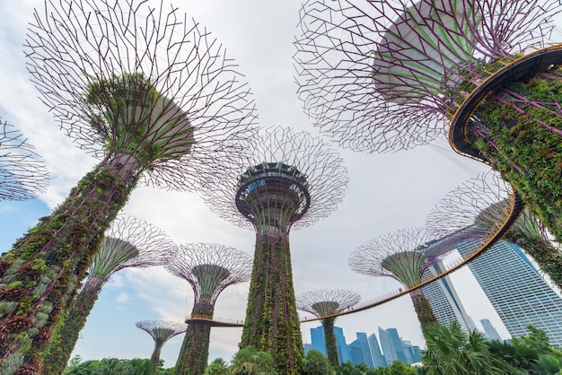 写真 天空を背景に近代的な建物の低角度のビュー