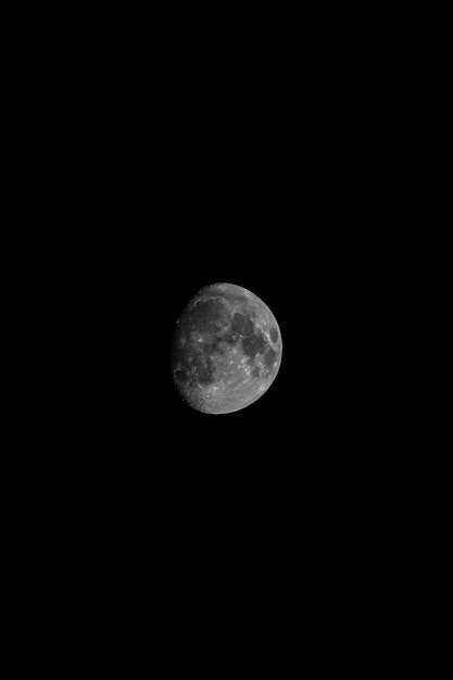 写真 暗い空を背景に月を低角度で見る
