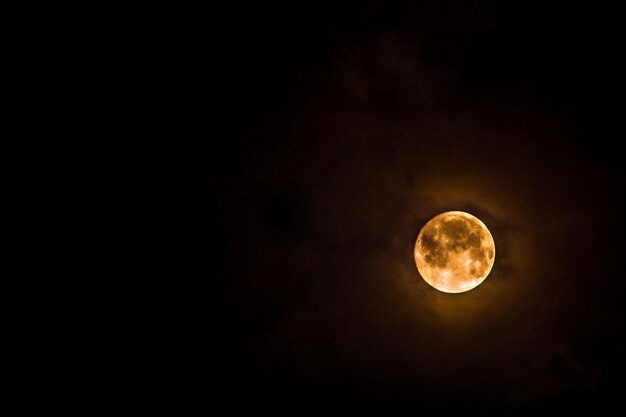 写真 夜空の背景に月を低角度で眺める