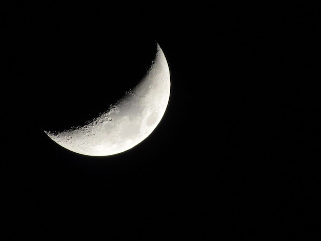 写真 空の月を低角度で見る