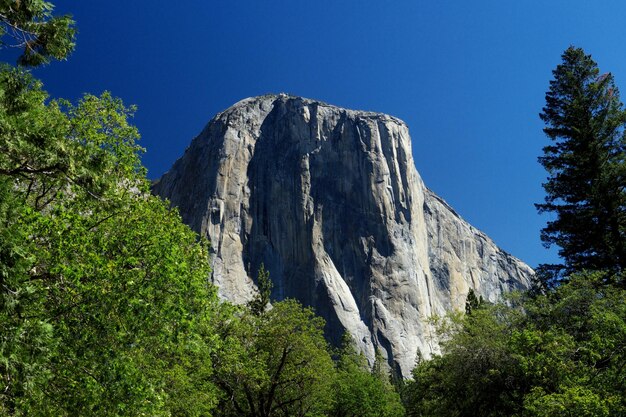 写真 晴れた青い空に照らされた山の低角度の景色