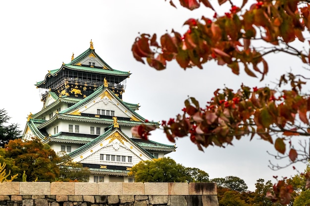 写真 大阪城と赤い秋の葉が空を背景に低角度で眺められる