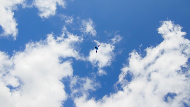 写真 青い空を背景にパラグライディングの低角度の景色