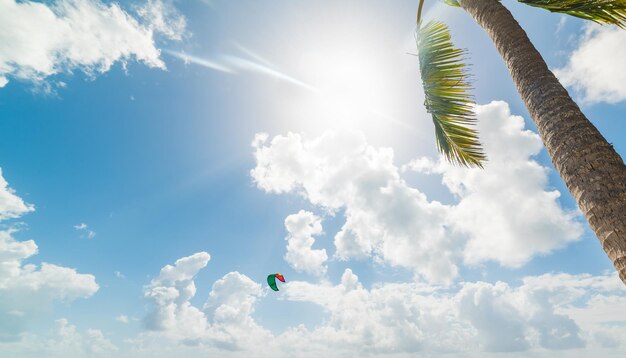 写真 空に照らしてパラグライディングの低角度の視点