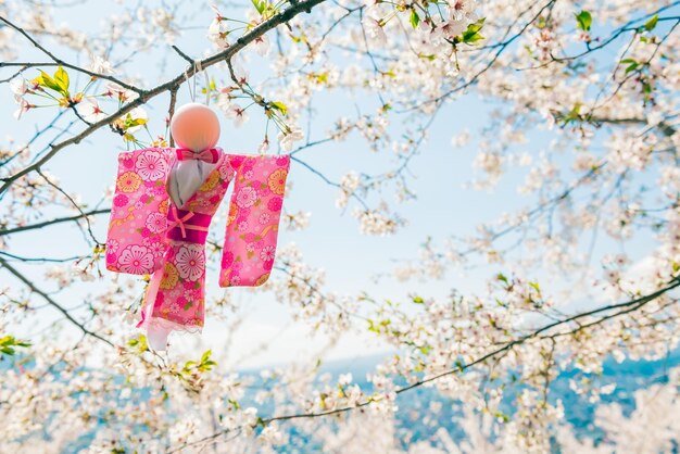 写真 木のピンクの桜の低角度の景色