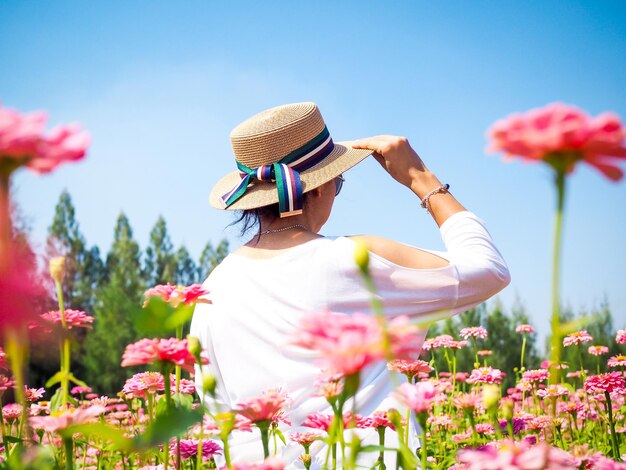 写真 天空を背景にピンクの花がく植物の低角度の景色