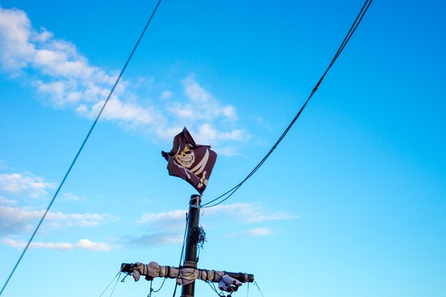 写真 青い空を背景に電線の低角度の視点