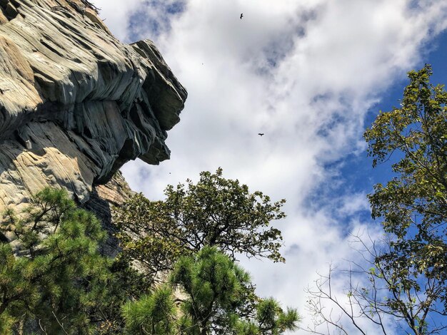 写真 天空を背景にした岩の低角度の景色