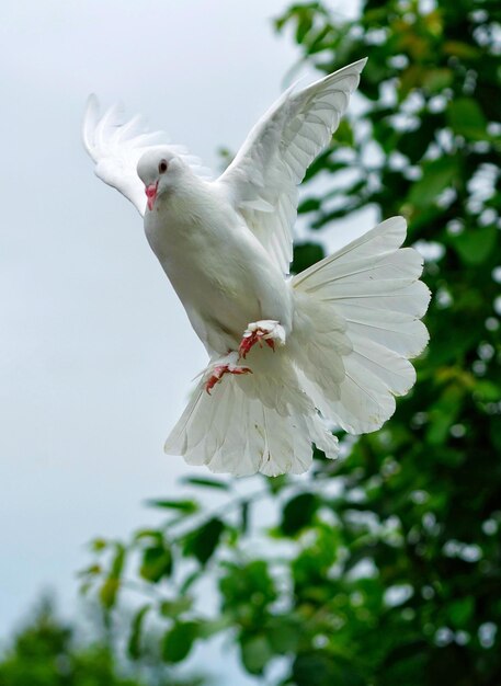 写真 が飛ぶ低角度の景色