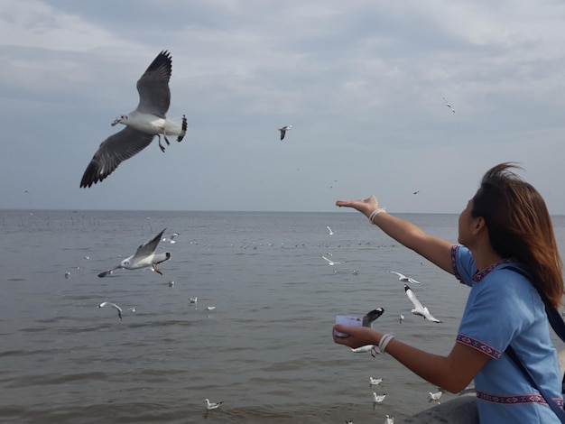 Фото Низкий угол наблюдения за чайками, летящими над морем