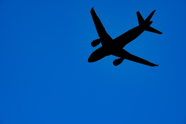 사진 은 파란 하늘을 배경으로 실루 비행기의 낮은 각도 시각