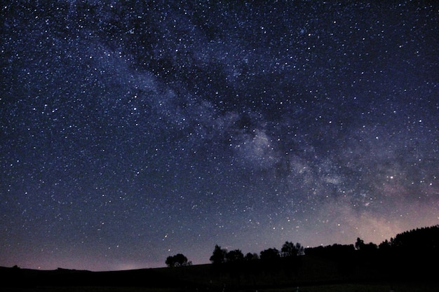 写真 夜の星のフィールドに対してシルエットの木の低角度のビュー