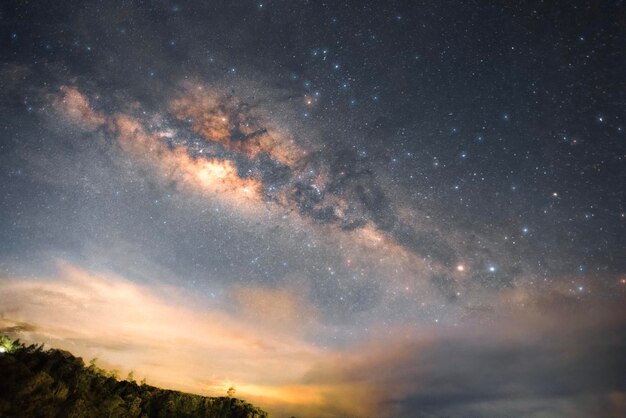 写真 夜空の低角度の写真