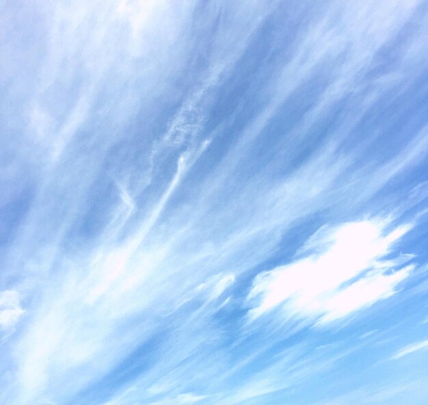 写真 低角度の空の眺め