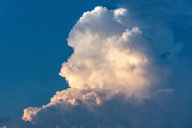 写真 空の低角度の視点