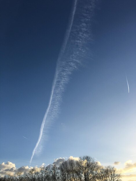 写真 空の低角度の視点