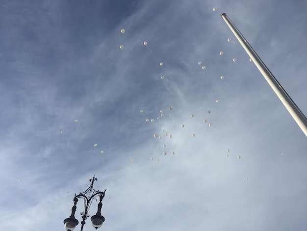 写真 空の低角度の視点