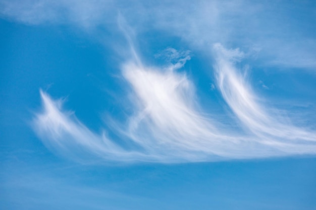 写真 空の低角度の視点