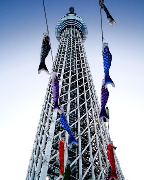 写真 空に向かってスカイトリービルを低角度で見る