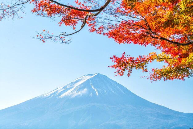 写真 空に向かって雪に覆われた山の低角度の景色