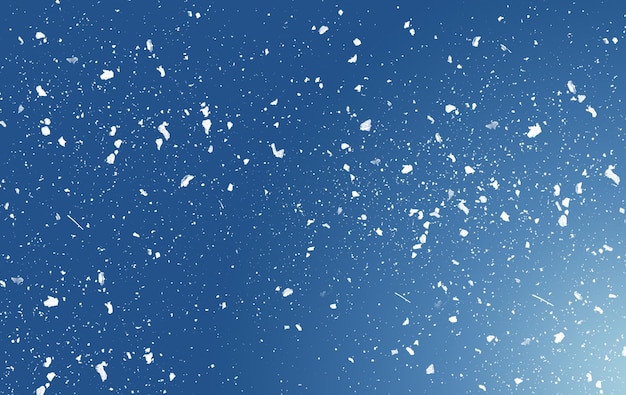 写真 青い空を背景にした雪花の低角度の景色