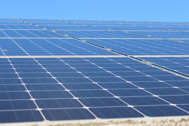 写真 晴れた空を背景に太陽電池パネルの低角度のビュー