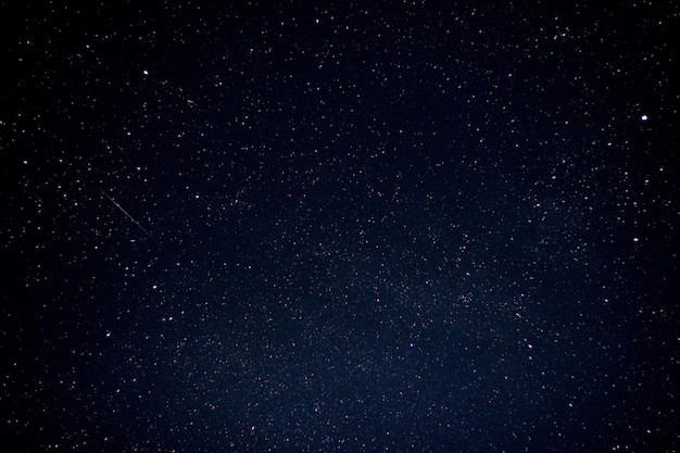 写真 夜空の星の低角度の眺め