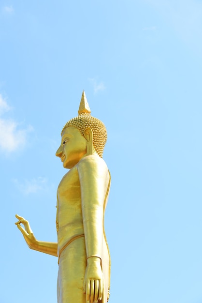 写真 青い空を背景に像の低角度の眺め