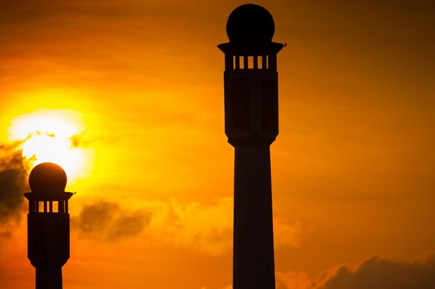 写真 オレンジ色の空に照らされたストリートライトの低角度のビュー