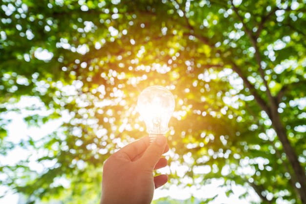 写真 木を通り抜ける太陽光の低角度の視点