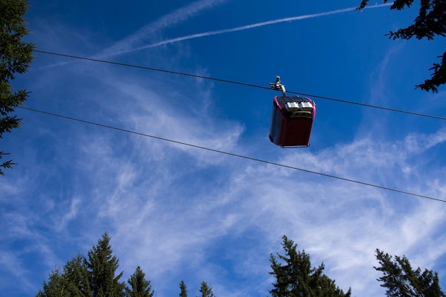 写真 空に向かって電話の柱の低角度の景色