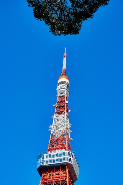 写真 青い空に照らされた塔の低角度の景色