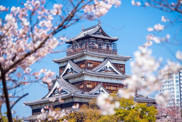 写真 天空に照らされた伝統的な建物の低角度の景色