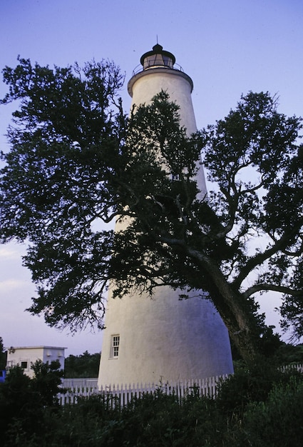 写真 天空を背景にした木と建物の低角度の景色