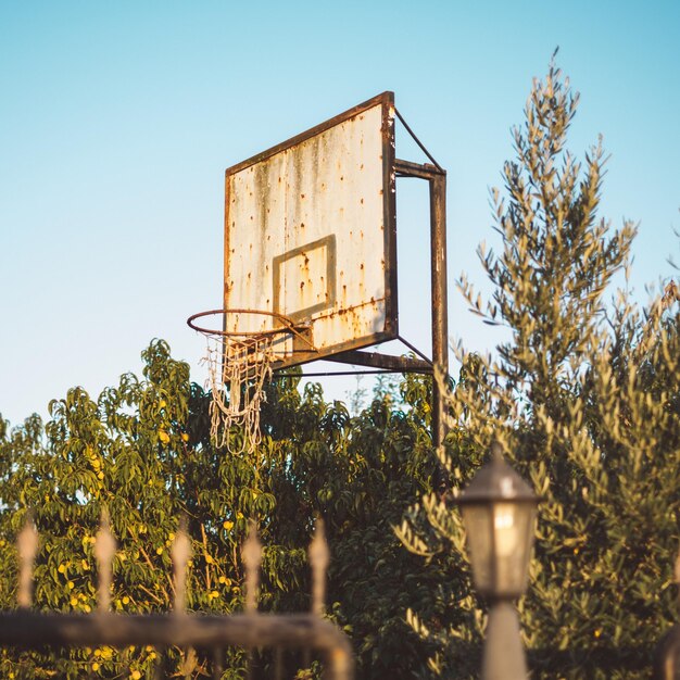 写真 明るい空を背景に木や建物を低角度で眺める