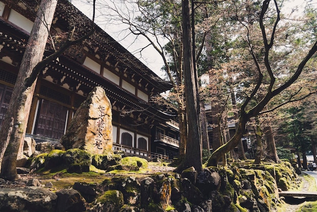 写真 建物の外の木や植物の低角度の視点