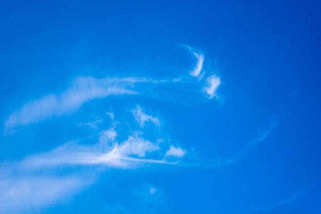 写真 空の蒸気の足跡の低角度のビュー