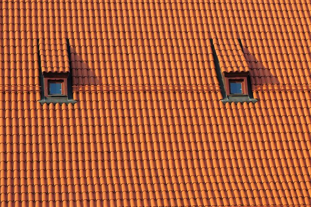 写真 建物の屋根の窓の低角度の景色