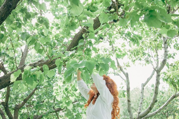 写真 樹木から見た女性の低角度の景色